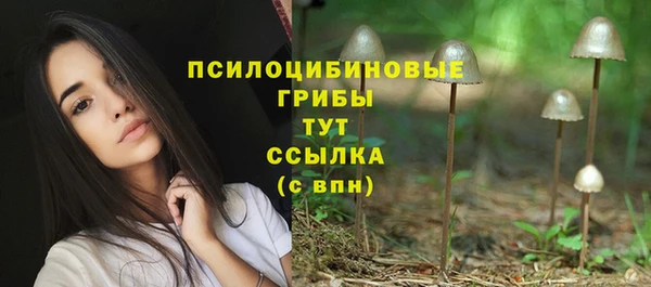гашик Абаза