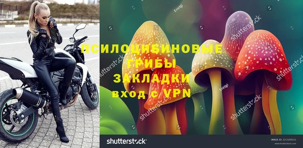 каннабис Корсаков