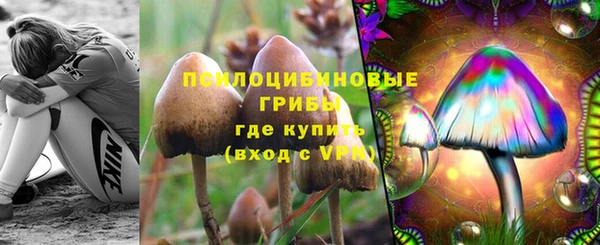 метадон Костерёво
