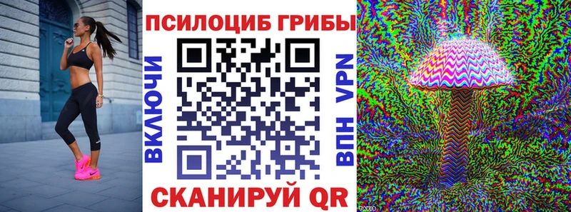 закладка  кракен ссылки  Псилоцибиновые грибы мицелий  Южноуральск 